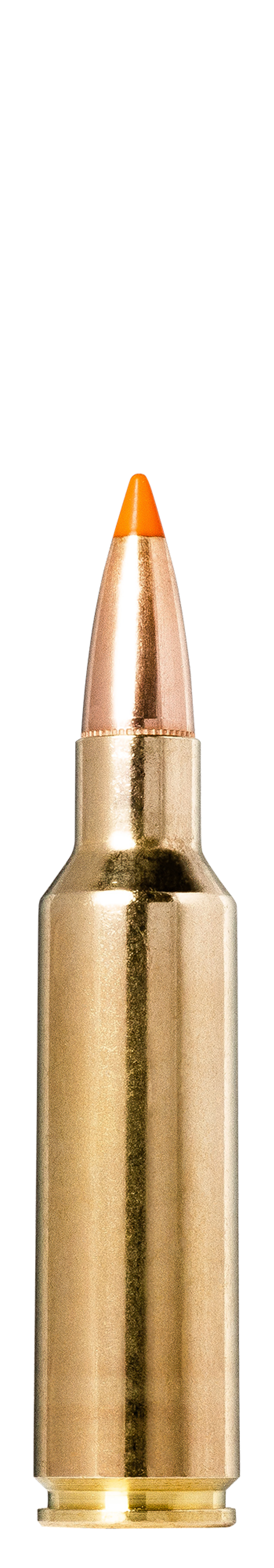 300 WSM 170GR TIPSTRIKE AMMO product image