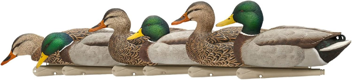 AVIAN X TOP FLIGHT FUSION MALLARDS 6 PK