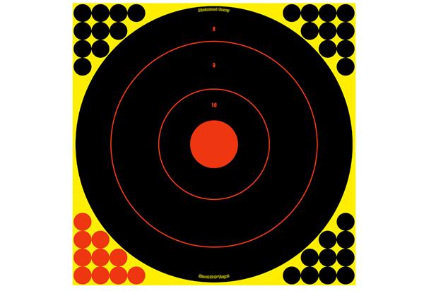 Birchwood Casey Shoot N C 8" Bull's-Eye Target - 6 Targets