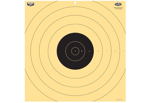 Birchwood Casey Dirty Bird 17.75 Inch 100 Yard Reactive Target