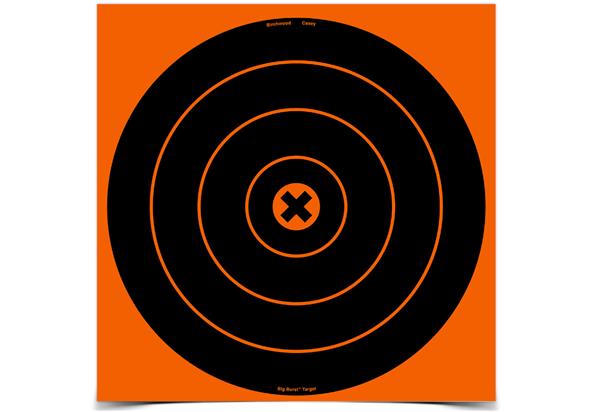 Birchwood Casey Big Burst 12" Bull's-Eye Target
