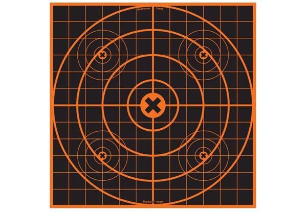 Birchwood Casey Big Burst 12" Sight-In Target