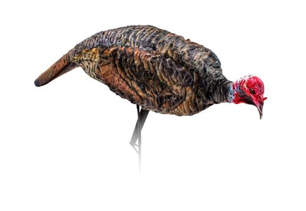 Montana Decoy Jake Purr-fect XD Turkey Decoy