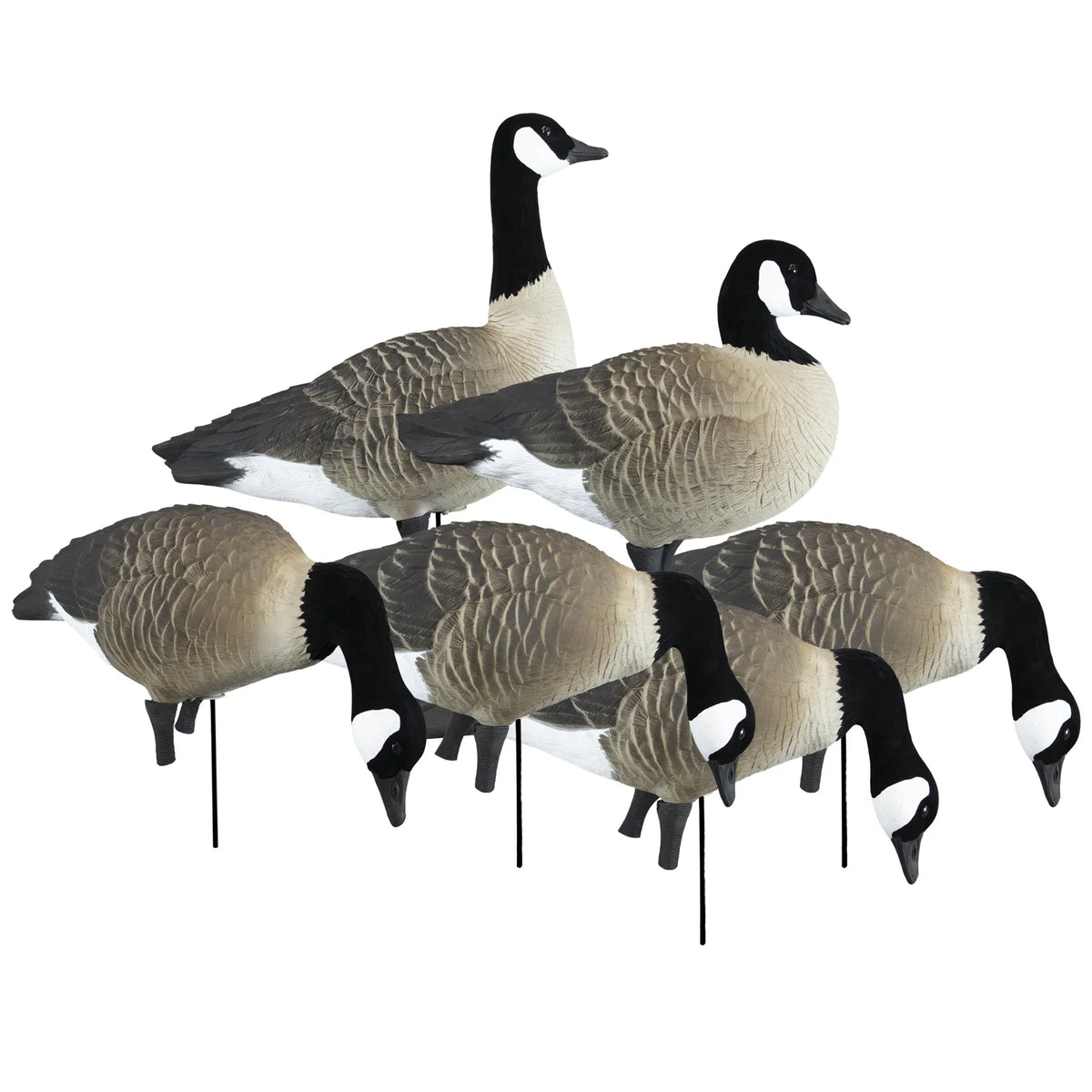 PRE ORDER Higdon APEX Full-Size Full-Body-Canada Variety Pack B (Pick Up Only)