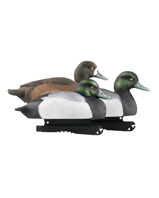 GHG Hunter Series Life Size Bluebill Decoys - 6 Pack