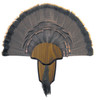 Hunters Specialties Turkey Tail & Beard Mounting Kit