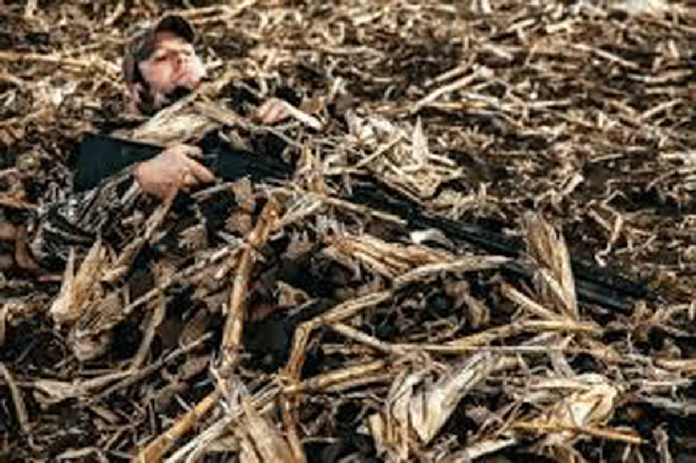 Beavertail Chisel-Plowed Field Concealment Blanket