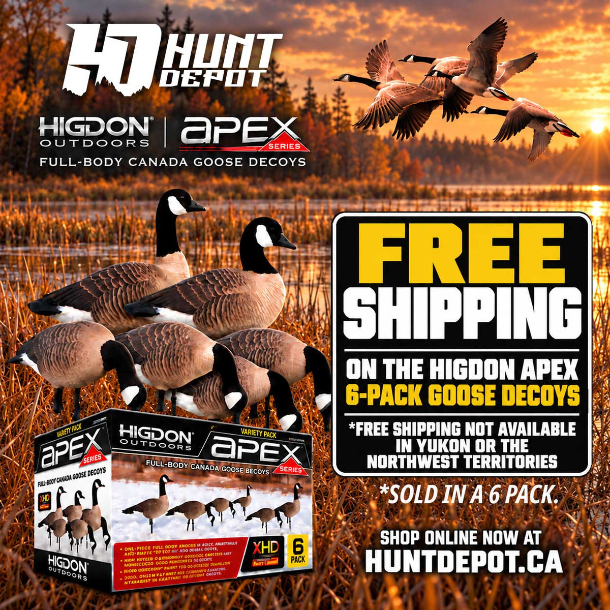 Higdon APEX Full-Size Full-Body-Canada Variety Pack B