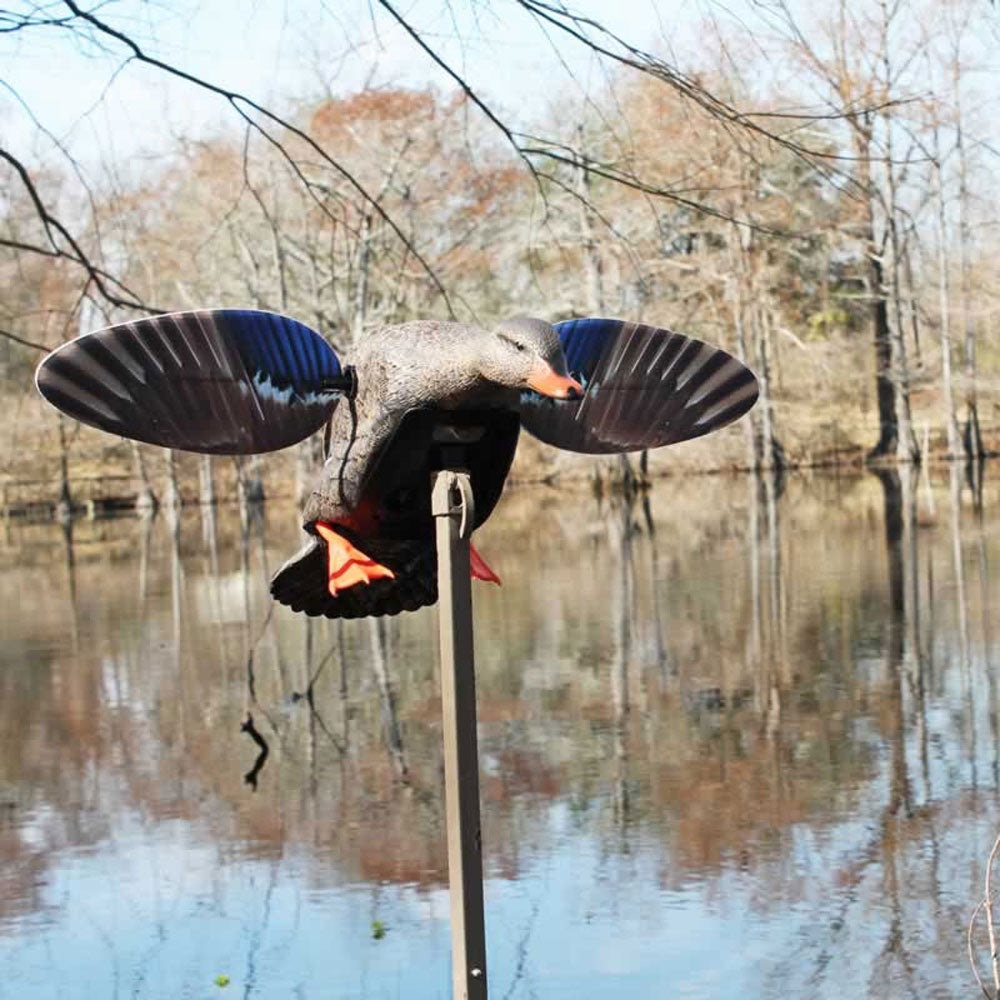 MOJO Elite Series Mini Mallard Hen Motorized Decoy 3-Pin