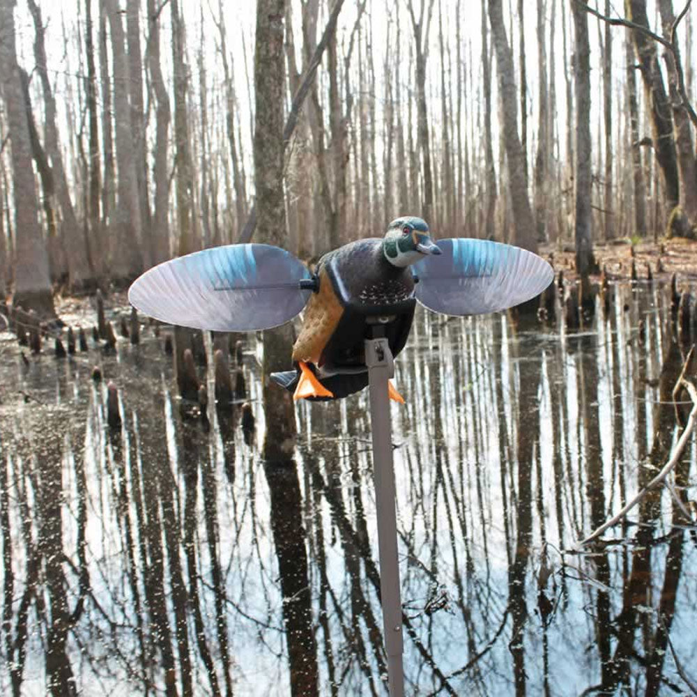 MOJO Elite Series Wood Duck Motorized Decoy