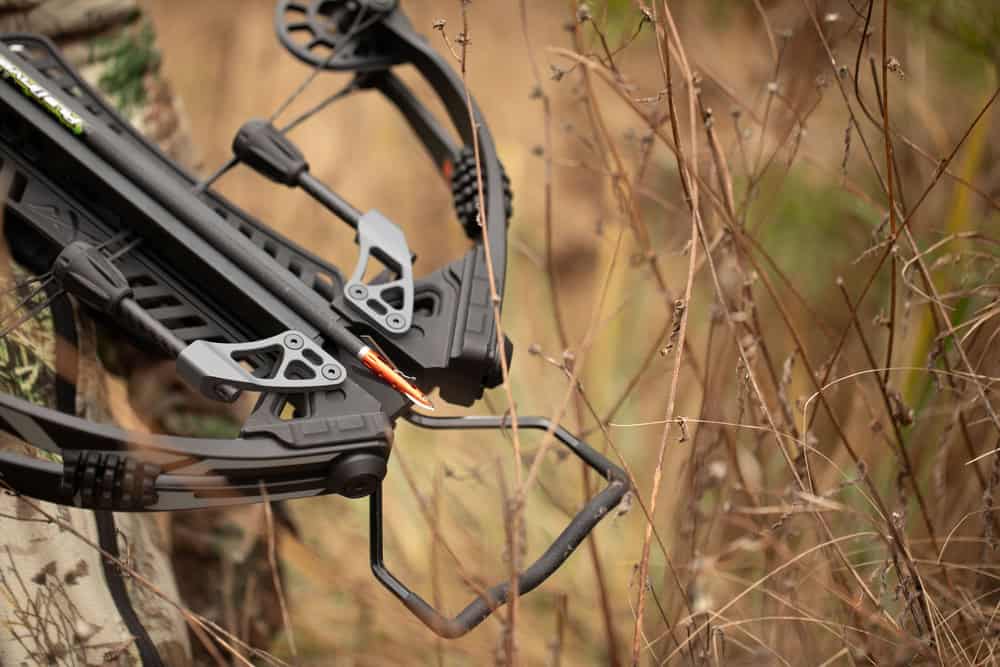 Rage 2 Blade Rage Crossbow X NC - 100 Grain