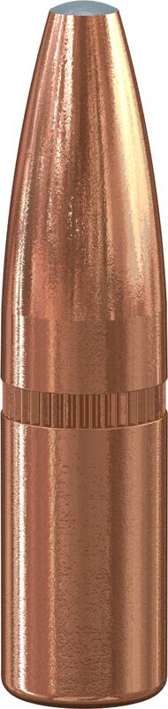Speer Grand Slam .243 100 grain rifle bullets, 50 count