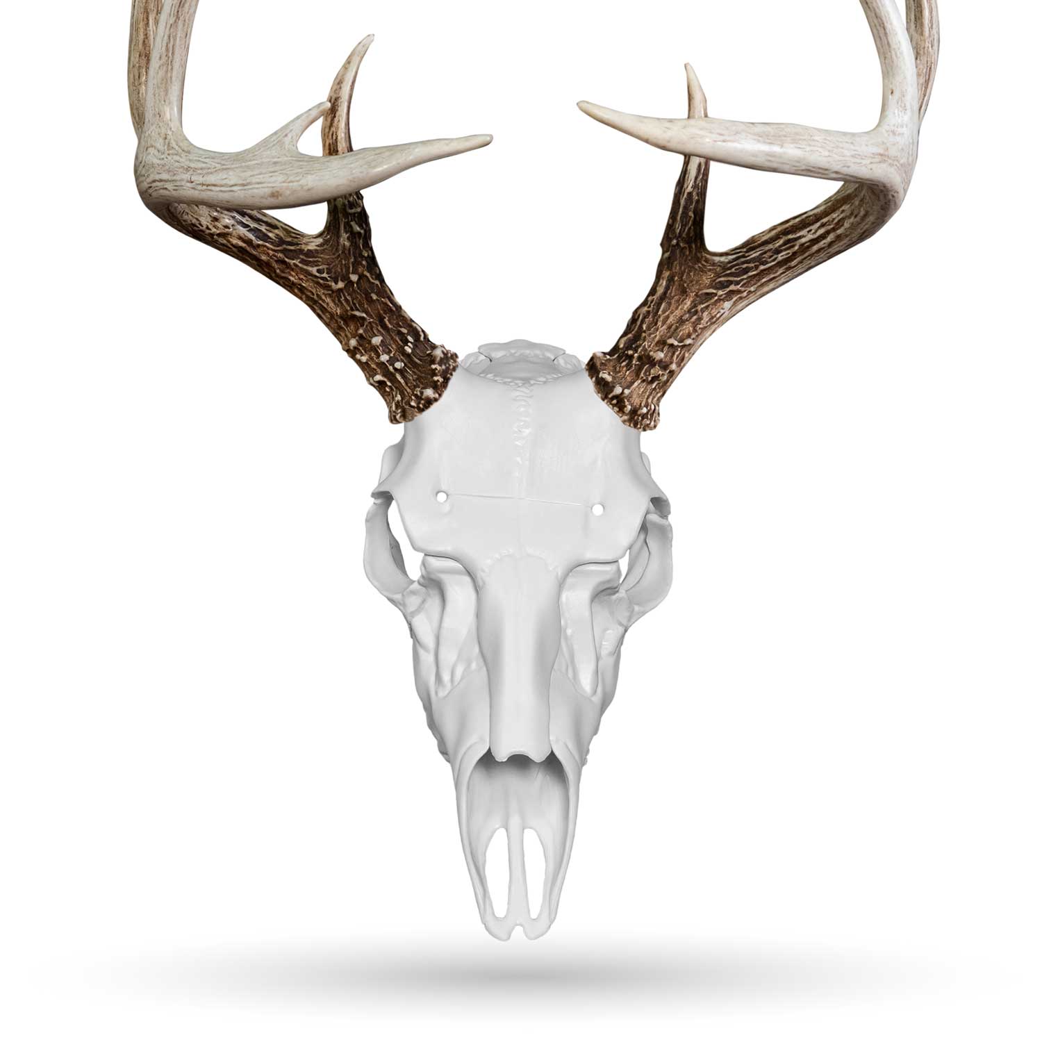 Illusion Systems Skull Master universal white European mounting kit