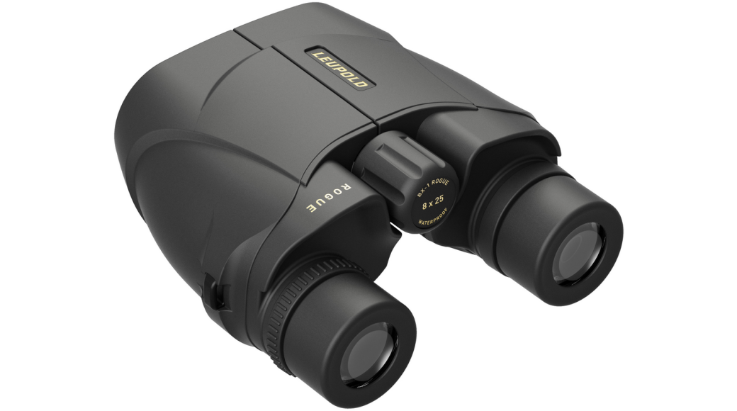 Leupold BX-1 Rogue 8x25mm Compact