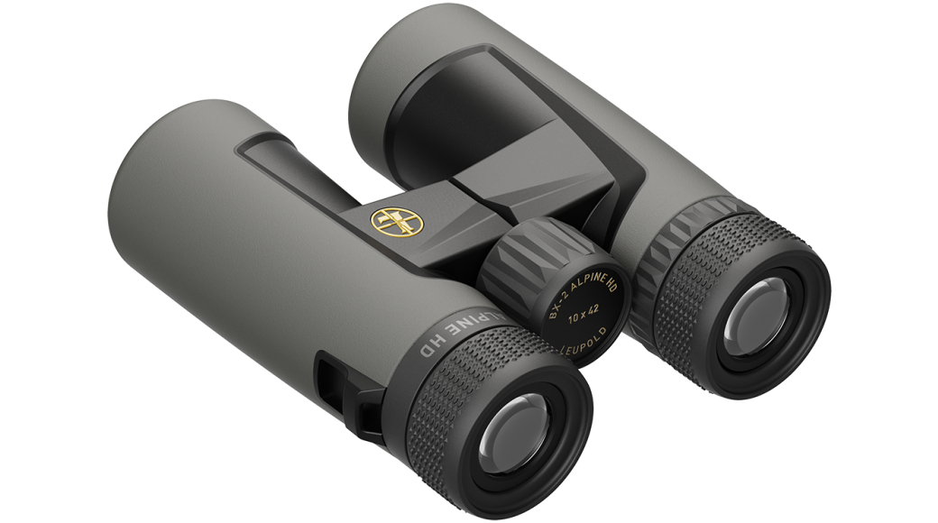 Leupold BX-2 Alpine HD 10x42mm