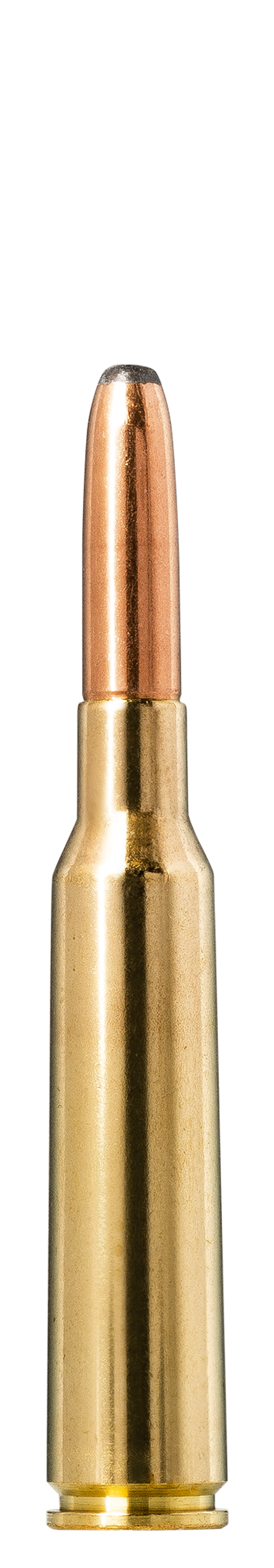 NORMA WHITETAIL 6.5X55 156GR AMMO product image