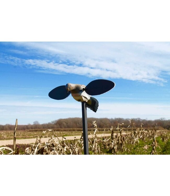 MOJO Elite Series Dove Spinning-Wing Decoy