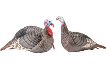 Hunters Specialties Strut-Lite Jake/Hen Decoy Combo Pack