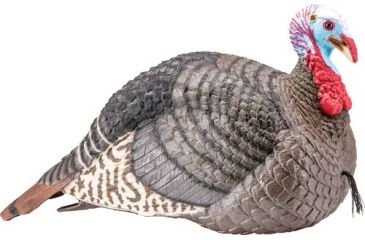Hunters Specialties Strut-Lite Jake Decoy