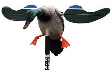 Baby MOJO Mallard Drake Spinning-Wing Decoy