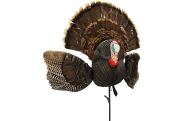 MOJO Scoot-N-Shoot MAX Turkey Decoy