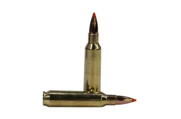 Nosler Trophy Grade 22 55gr Ballistic Tip Ammunition