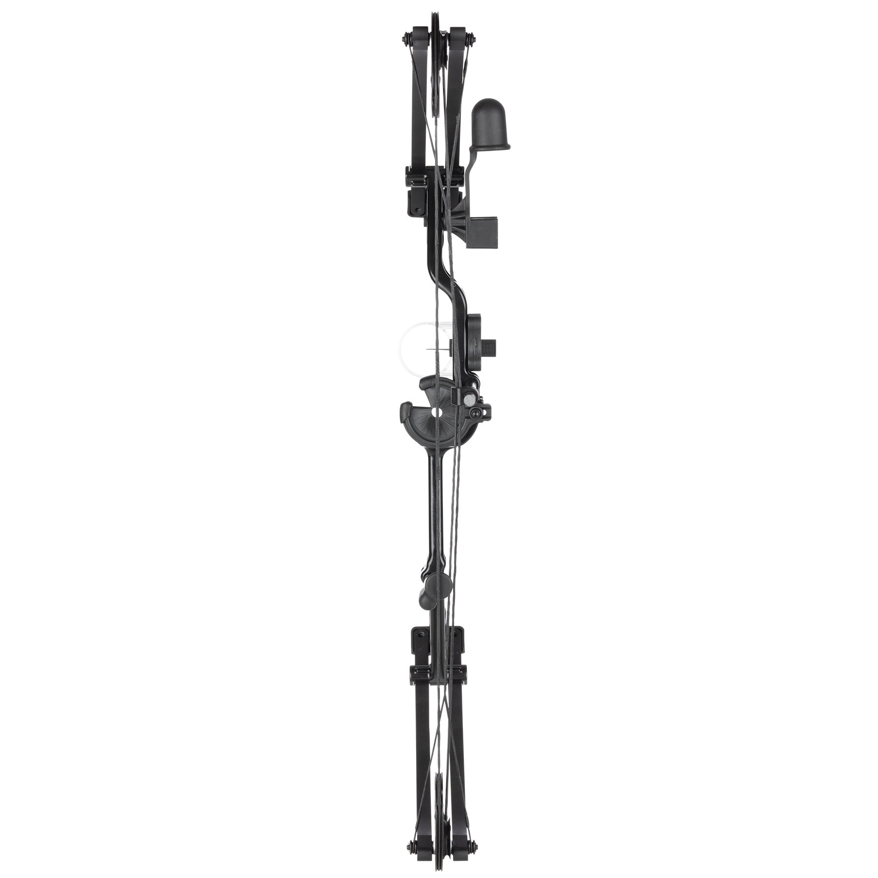 Bear Archer Pathfinder Youth Bow Set