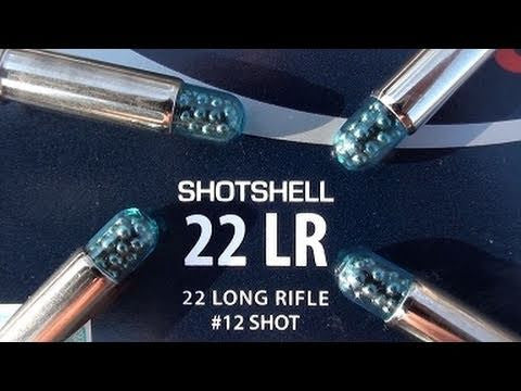 CCI Shotshell 22 LR, 31 Grain-High Falls Outfitters