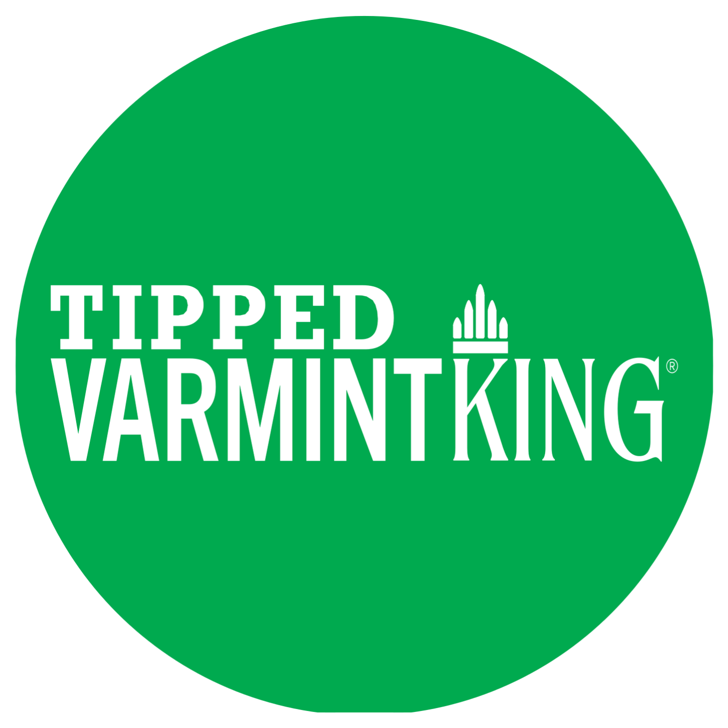 Sierra Tipped VarmintKing 6mm 55gr Bullets - 500 Count